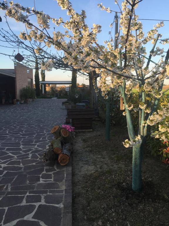 Dolce Casetta Faenza Luaran gambar
