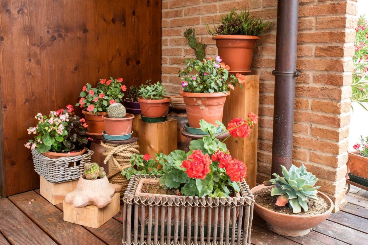 Dolce Casetta Faenza Luaran gambar
